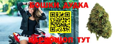 шишки Заводоуковск
