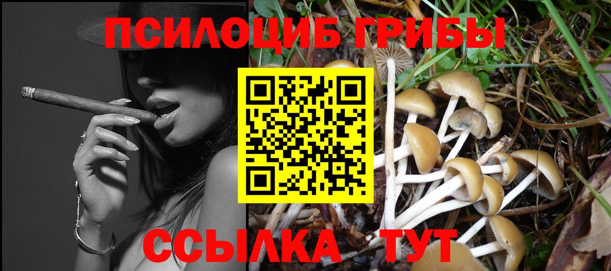 Галлюциногенные грибы MAGIC MUSHROOMS  Вход с VPN  Магнитогорск 