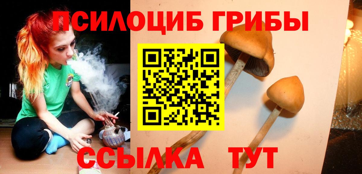 Галлюциногенные грибы прущие грибы Магнитогорск